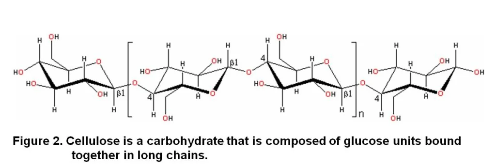 Chemical structure of cellulose and its role in microbial breakdown