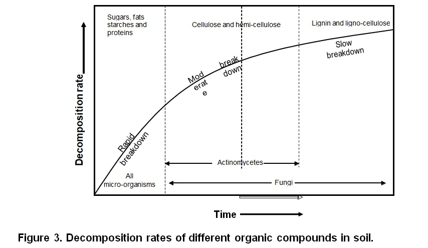 Figure 3 — stages of organic matter decomposition and mineral nutrient release